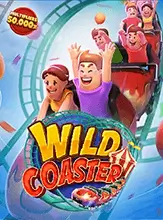 wild coaster